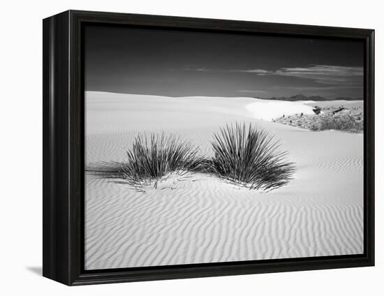 USA, New Mexico, White Sands National Monument. Bush in Desert Sand-Dennis Flaherty-Framed Premier Image Canvas