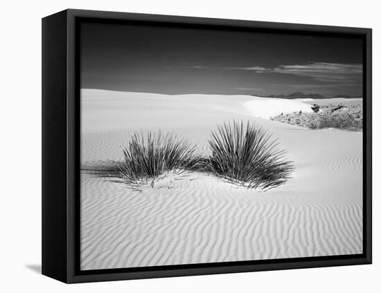 USA, New Mexico, White Sands National Monument. Bush in Desert Sand-Dennis Flaherty-Framed Premier Image Canvas