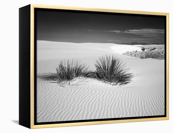 USA, New Mexico, White Sands National Monument. Bush in Desert Sand-Dennis Flaherty-Framed Premier Image Canvas