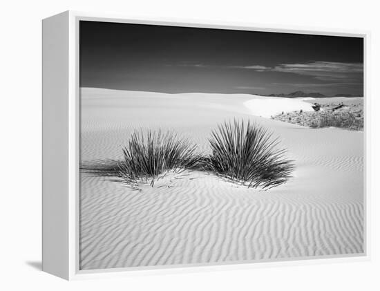 USA, New Mexico, White Sands National Monument. Bush in Desert Sand-Dennis Flaherty-Framed Premier Image Canvas