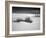 USA, New Mexico, White Sands National Monument. Bush in Desert Sand-Dennis Flaherty-Framed Photographic Print