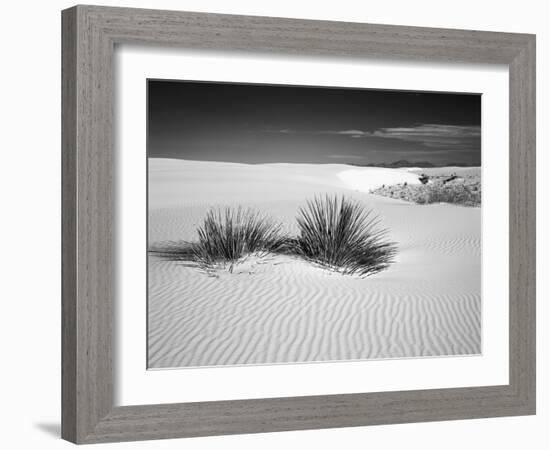 USA, New Mexico, White Sands National Monument. Bush in Desert Sand-Dennis Flaherty-Framed Photographic Print