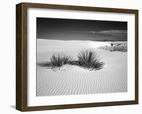 USA, New Mexico, White Sands National Monument. Bush in Desert Sand-Dennis Flaherty-Framed Photographic Print