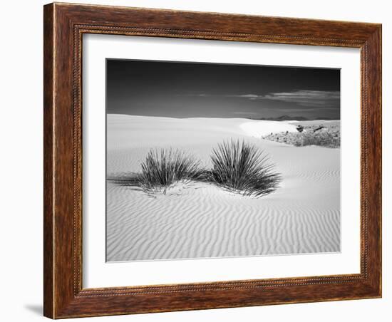 USA, New Mexico, White Sands National Monument. Bush in Desert Sand-Dennis Flaherty-Framed Photographic Print