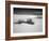 USA, New Mexico, White Sands National Monument. Bush in Desert Sand-Dennis Flaherty-Framed Photographic Print