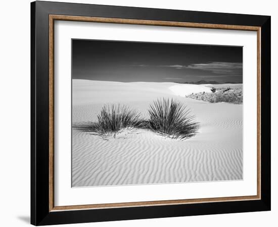 USA, New Mexico, White Sands National Monument. Bush in Desert Sand-Dennis Flaherty-Framed Photographic Print