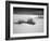 USA, New Mexico, White Sands National Monument. Bush in Desert Sand-Dennis Flaherty-Framed Photographic Print