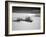 USA, New Mexico, White Sands National Monument. Bush in Desert Sand-Dennis Flaherty-Framed Photographic Print