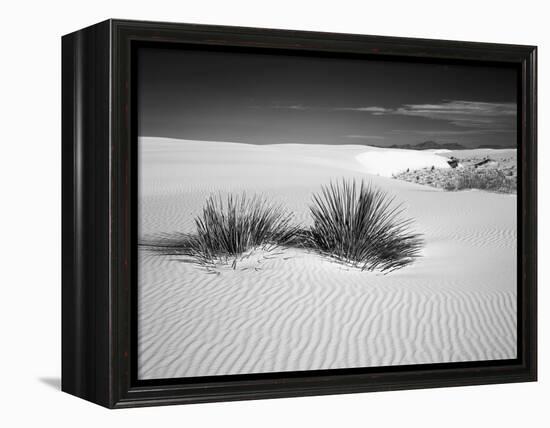 USA, New Mexico, White Sands National Monument. Bush in Desert Sand-Dennis Flaherty-Framed Premier Image Canvas