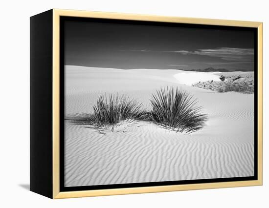 USA, New Mexico, White Sands National Monument. Bush in Desert Sand-Dennis Flaherty-Framed Premier Image Canvas