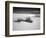 USA, New Mexico, White Sands National Monument. Bush in Desert Sand-Dennis Flaherty-Framed Photographic Print