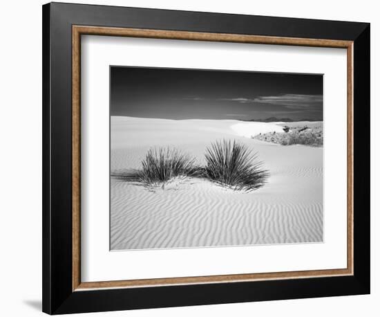 USA, New Mexico, White Sands National Monument. Bush in Desert Sand-Dennis Flaherty-Framed Photographic Print