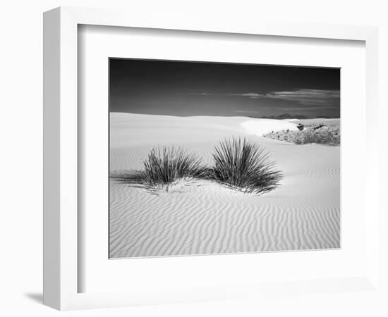 USA, New Mexico, White Sands National Monument. Bush in Desert Sand-Dennis Flaherty-Framed Photographic Print