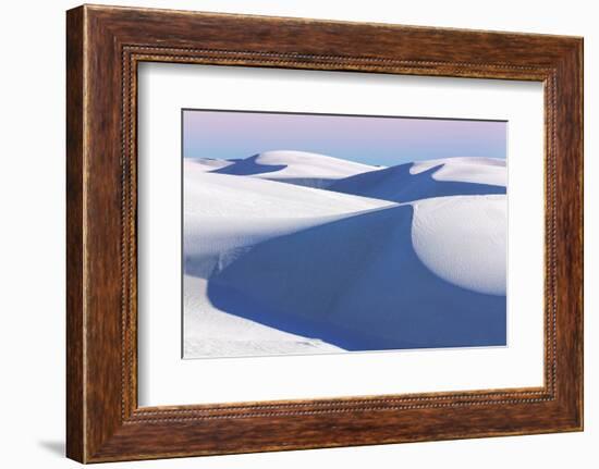 USA, New Mexico, White Sands National Monument. Desert Landscape-Don Paulson-Framed Photographic Print