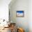 USA, New Mexico, White Sands National Monument, Sand Dune Patterns and Yucca Plants-Terry Eggers-Framed Premier Image Canvas displayed on a wall