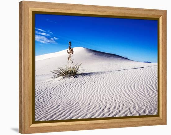 USA, New Mexico, White Sands National Monument, Sand Dune Patterns and Yucca Plants-Terry Eggers-Framed Premier Image Canvas