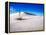 USA, New Mexico, White Sands National Monument, Sand Dune Patterns and Yucca Plants-Terry Eggers-Framed Premier Image Canvas