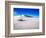 USA, New Mexico, White Sands National Monument, Sand Dune Patterns and Yucca Plants-Terry Eggers-Framed Photographic Print