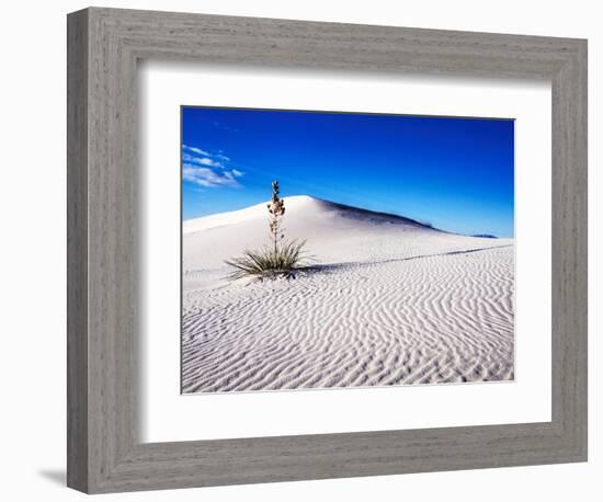 USA, New Mexico, White Sands National Monument, Sand Dune Patterns and Yucca Plants-Terry Eggers-Framed Photographic Print