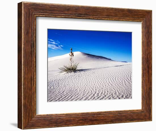 USA, New Mexico, White Sands National Monument, Sand Dune Patterns and Yucca Plants-Terry Eggers-Framed Photographic Print