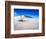 USA, New Mexico, White Sands National Monument, Sand Dune Patterns and Yucca Plants-Terry Eggers-Framed Photographic Print