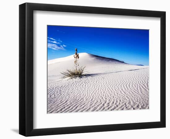 USA, New Mexico, White Sands National Monument, Sand Dune Patterns and Yucca Plants-Terry Eggers-Framed Photographic Print