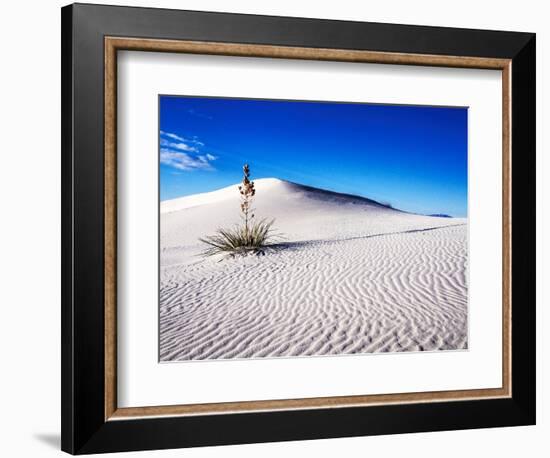 USA, New Mexico, White Sands National Monument, Sand Dune Patterns and Yucca Plants-Terry Eggers-Framed Photographic Print