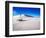 USA, New Mexico, White Sands National Monument, Sand Dune Patterns and Yucca Plants-Terry Eggers-Framed Photographic Print