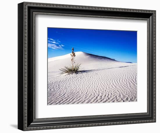 USA, New Mexico, White Sands National Monument, Sand Dune Patterns and Yucca Plants-Terry Eggers-Framed Photographic Print