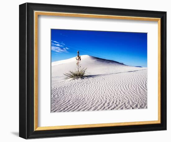 USA, New Mexico, White Sands National Monument, Sand Dune Patterns and Yucca Plants-Terry Eggers-Framed Photographic Print