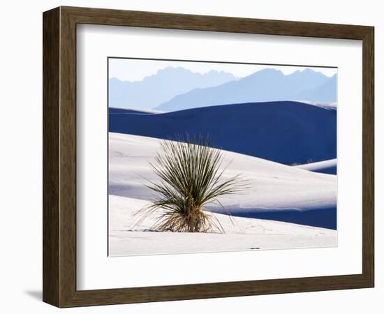 USA, New Mexico, White Sands National Monument, Sand Dune Patterns and Yucca Plants-Terry Eggers-Framed Photographic Print