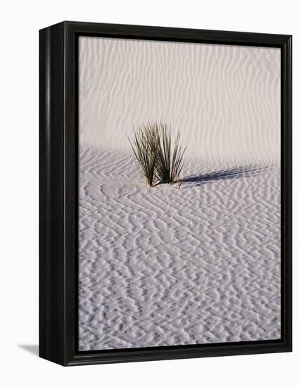 USA, New Mexico, White Sands National Monument, Sand Dune Patterns and Yucca Plants-Terry Eggers-Framed Premier Image Canvas