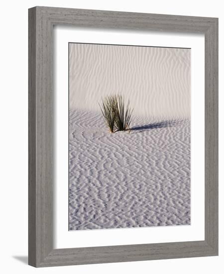 USA, New Mexico, White Sands National Monument, Sand Dune Patterns and Yucca Plants-Terry Eggers-Framed Photographic Print