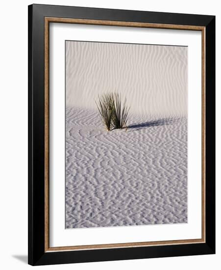 USA, New Mexico, White Sands National Monument, Sand Dune Patterns and Yucca Plants-Terry Eggers-Framed Photographic Print