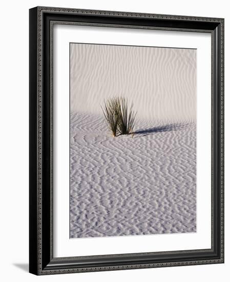 USA, New Mexico, White Sands National Monument, Sand Dune Patterns and Yucca Plants-Terry Eggers-Framed Photographic Print