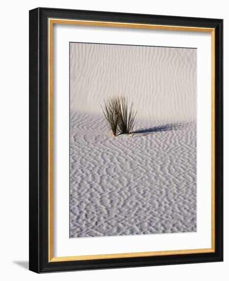 USA, New Mexico, White Sands National Monument, Sand Dune Patterns and Yucca Plants-Terry Eggers-Framed Photographic Print