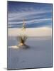 USA, New Mexico, White Sands National Monument, Sand Dune Patterns and Yucca Plants-Terry Eggers-Mounted Photographic Print