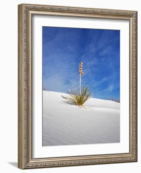 USA, New Mexico, White Sands National Monument, Sand Dune Patterns and Yucca Plants-Terry Eggers-Framed Photographic Print