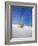 USA, New Mexico, White Sands National Monument, Sand Dune Patterns and Yucca Plants-Terry Eggers-Framed Photographic Print