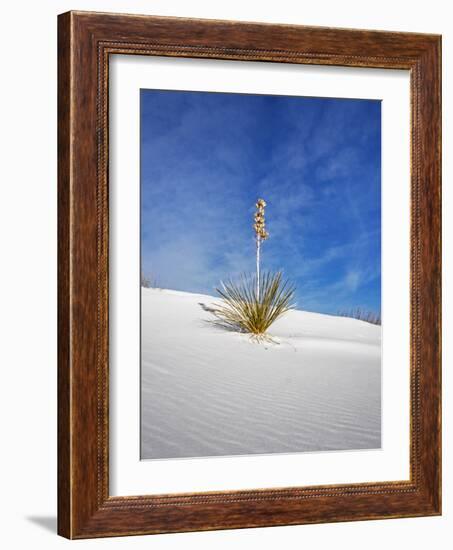 USA, New Mexico, White Sands National Monument, Sand Dune Patterns and Yucca Plants-Terry Eggers-Framed Photographic Print