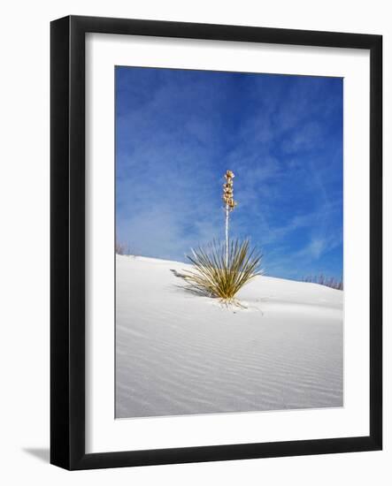 USA, New Mexico, White Sands National Monument, Sand Dune Patterns and Yucca Plants-Terry Eggers-Framed Photographic Print