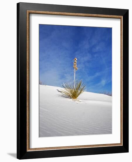 USA, New Mexico, White Sands National Monument, Sand Dune Patterns and Yucca Plants-Terry Eggers-Framed Photographic Print