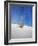 USA, New Mexico, White Sands National Monument, Sand Dune Patterns and Yucca Plants-Terry Eggers-Framed Photographic Print