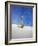 USA, New Mexico, White Sands National Monument, Sand Dune Patterns and Yucca Plants-Terry Eggers-Framed Photographic Print