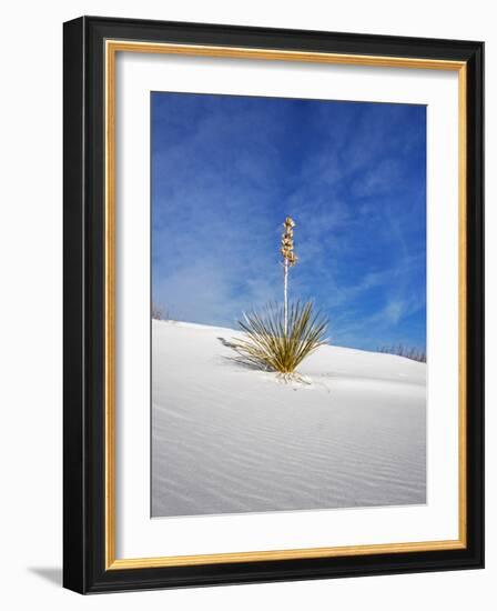 USA, New Mexico, White Sands National Monument, Sand Dune Patterns and Yucca Plants-Terry Eggers-Framed Photographic Print