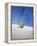 USA, New Mexico, White Sands National Monument, Sand Dune Patterns and Yucca Plants-Terry Eggers-Framed Premier Image Canvas