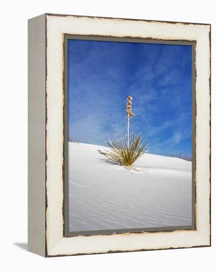 USA, New Mexico, White Sands National Monument, Sand Dune Patterns and Yucca Plants-Terry Eggers-Framed Premier Image Canvas