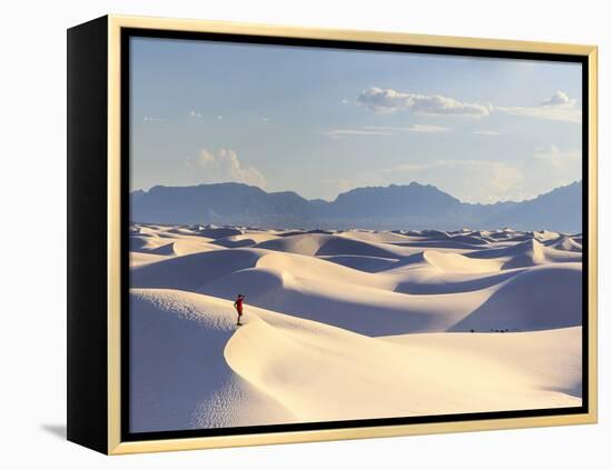 USA, New Mexico, White Sands National Monument-Michele Falzone-Framed Premier Image Canvas