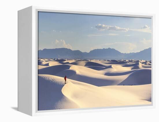 USA, New Mexico, White Sands National Monument-Michele Falzone-Framed Premier Image Canvas