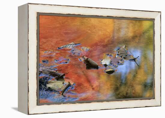 USA, New York, Adirondack Mountains. Autumn Reflections in Stream-Jaynes Gallery-Framed Premier Image Canvas